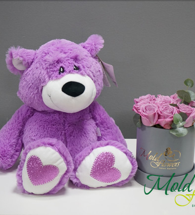 Set: Purple Roses in Gray Box and Andryusha Teddy Bear in Purple, H=45 cm photo 394x433